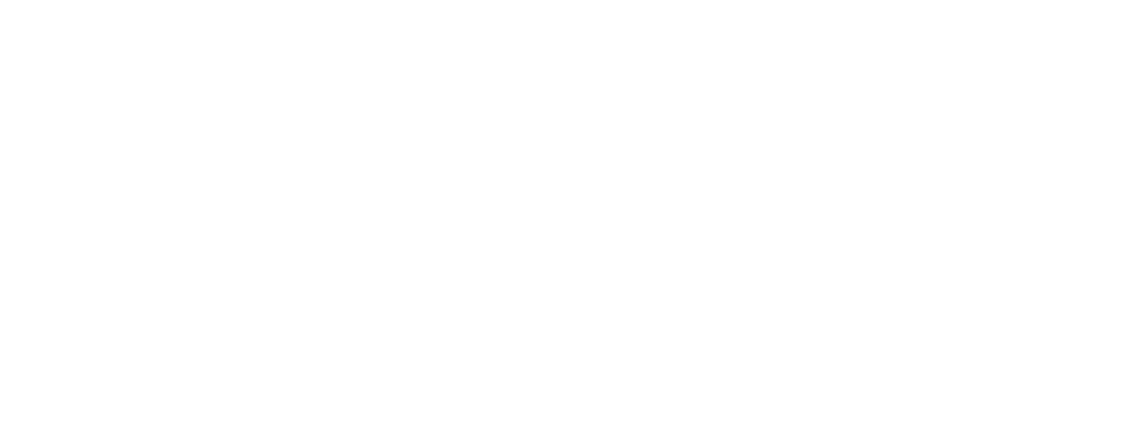 ELV8